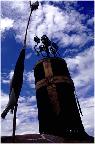崇文实验学校2011届五年三四班张凯林《夏日历险》角色讨论专题